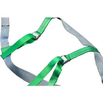 Auto Zurrgurt LC 1500daN