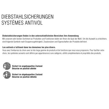 Diebstahlsicherung AL-KO Schliesszylinder + Safety-Ball 1222692