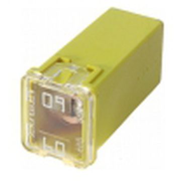 Fusible, female, jaune, 60A