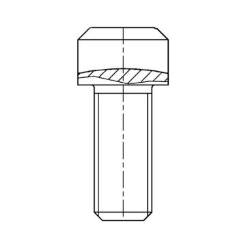 Schraube zu BPW S3006-7 RASK