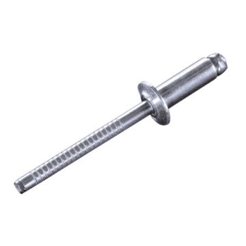 Blindniete Inox/Inox 4.8 x   8.0 Flachrundkopf, gerillt