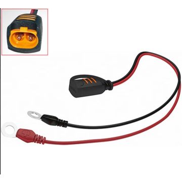 CTEK Batterieanschlussklemmen 2-pol.